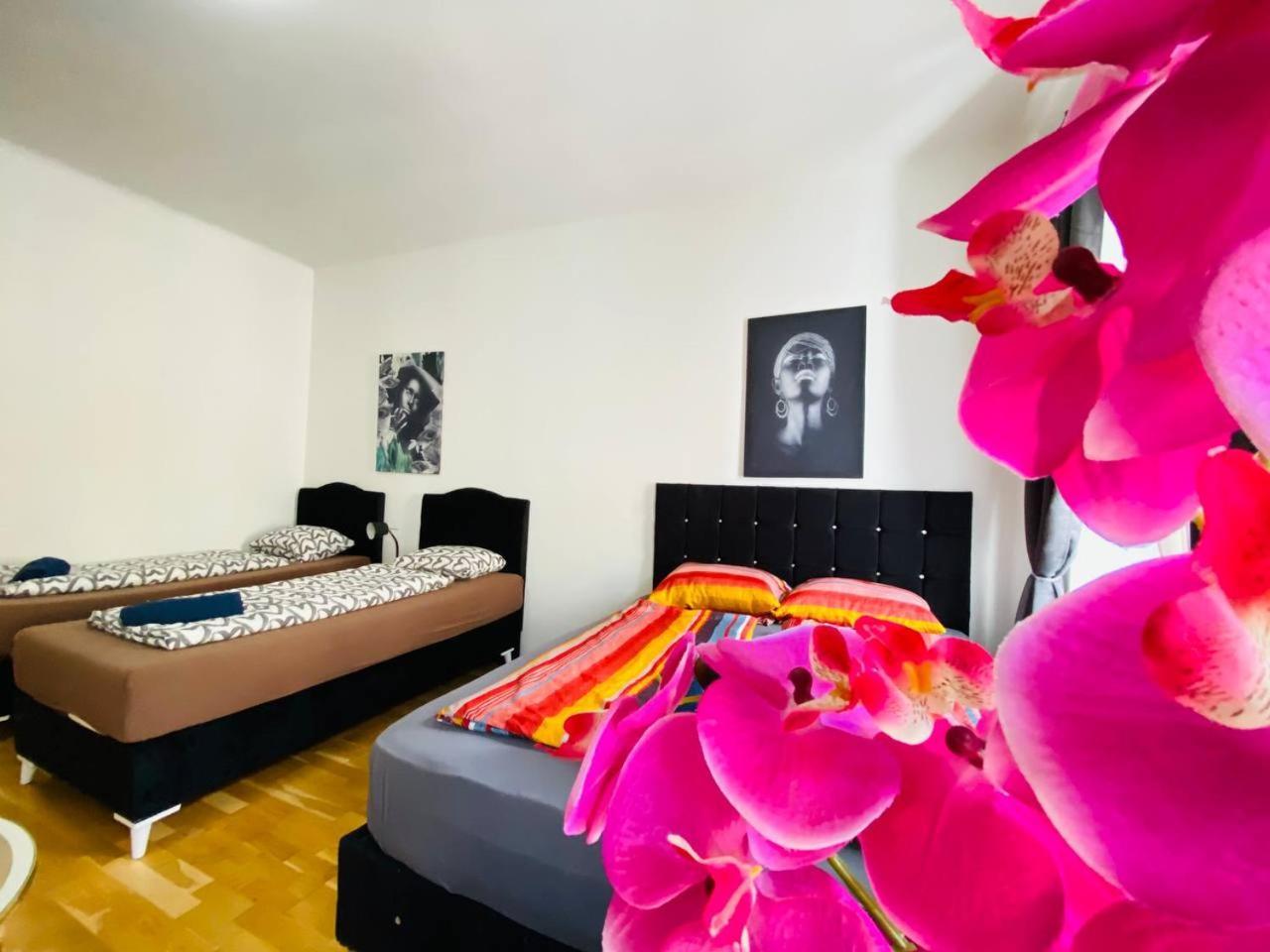 Deluxe Studio In Josefstaedter Strasse Area Apartment Vienna Exterior photo
