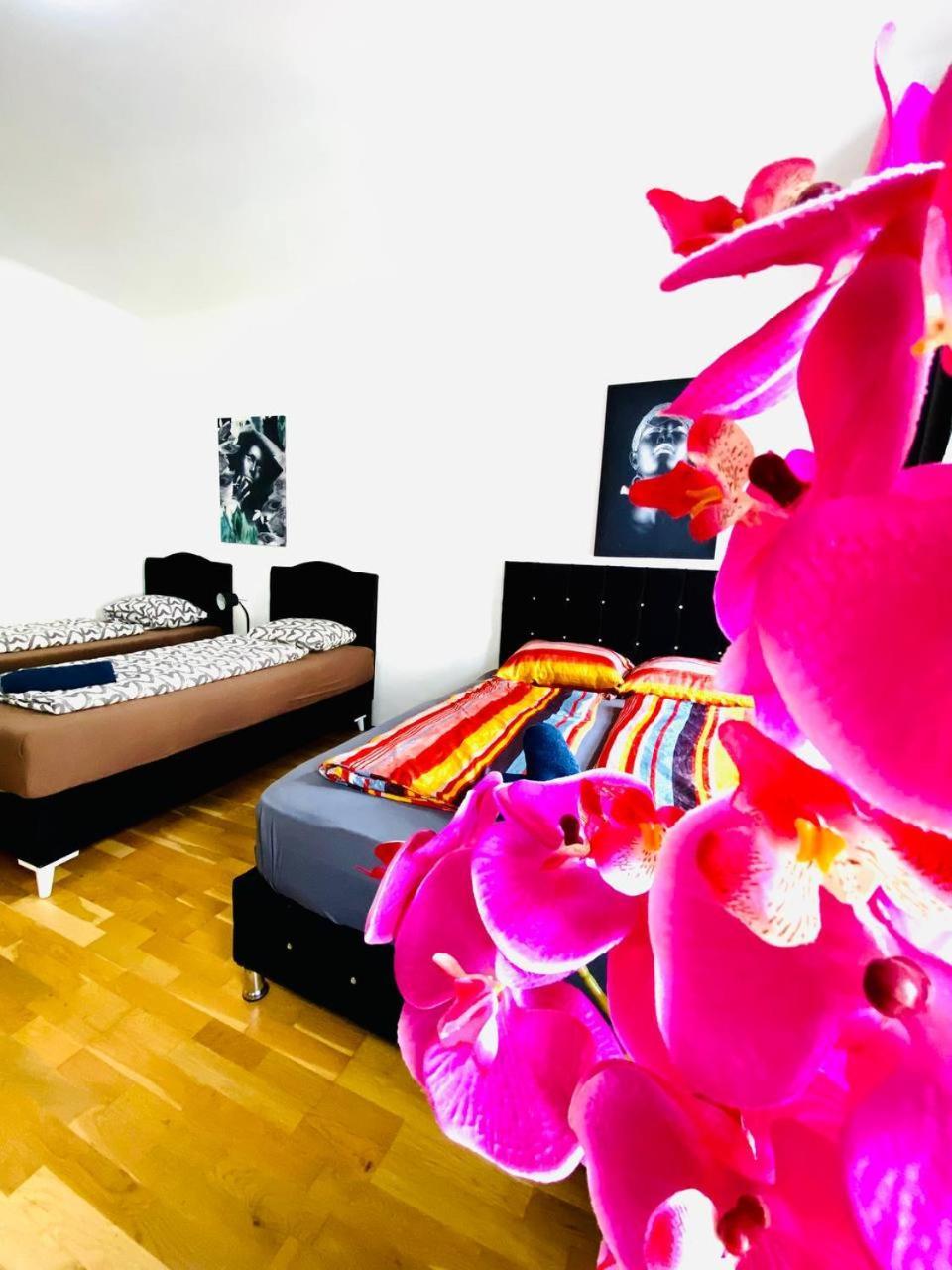 Deluxe Studio In Josefstaedter Strasse Area Apartment Vienna Exterior photo